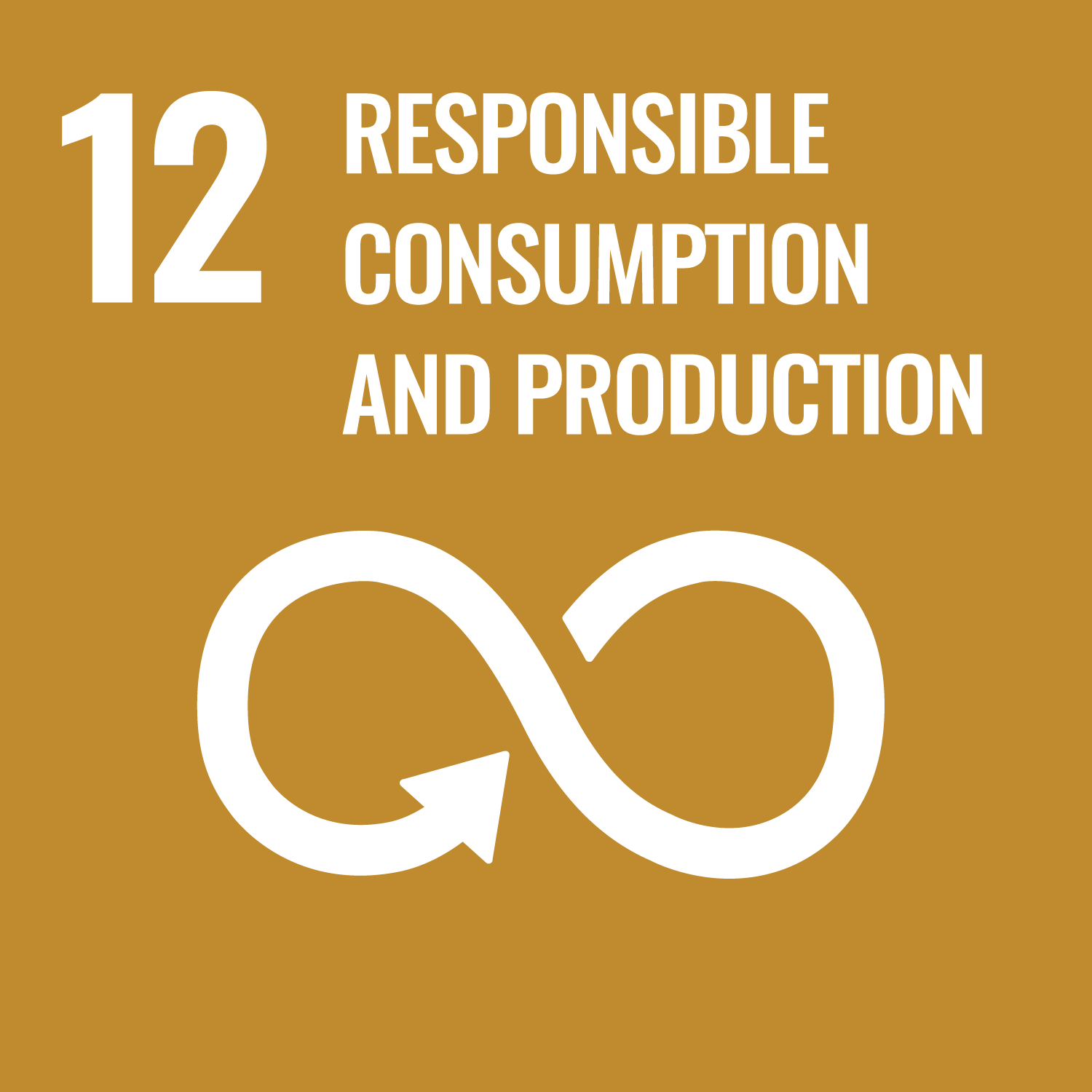 12 Responsible consumption and production.